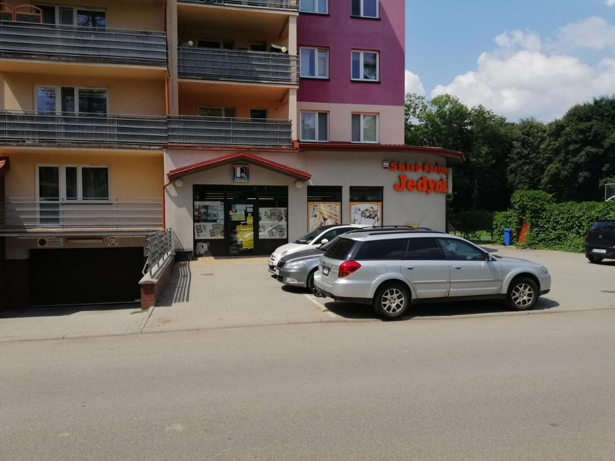 Apartament Witkiewicza Санок Экстерьер фото